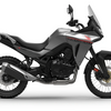 HONDA TRANSALP XL750 - Gris