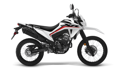 Adventure Honda XR300L (tornado) - procircuit
