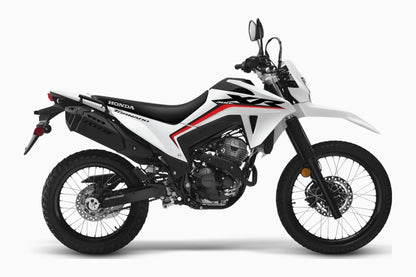 Dual Sport Honda XR300L (tornado) - procircuit