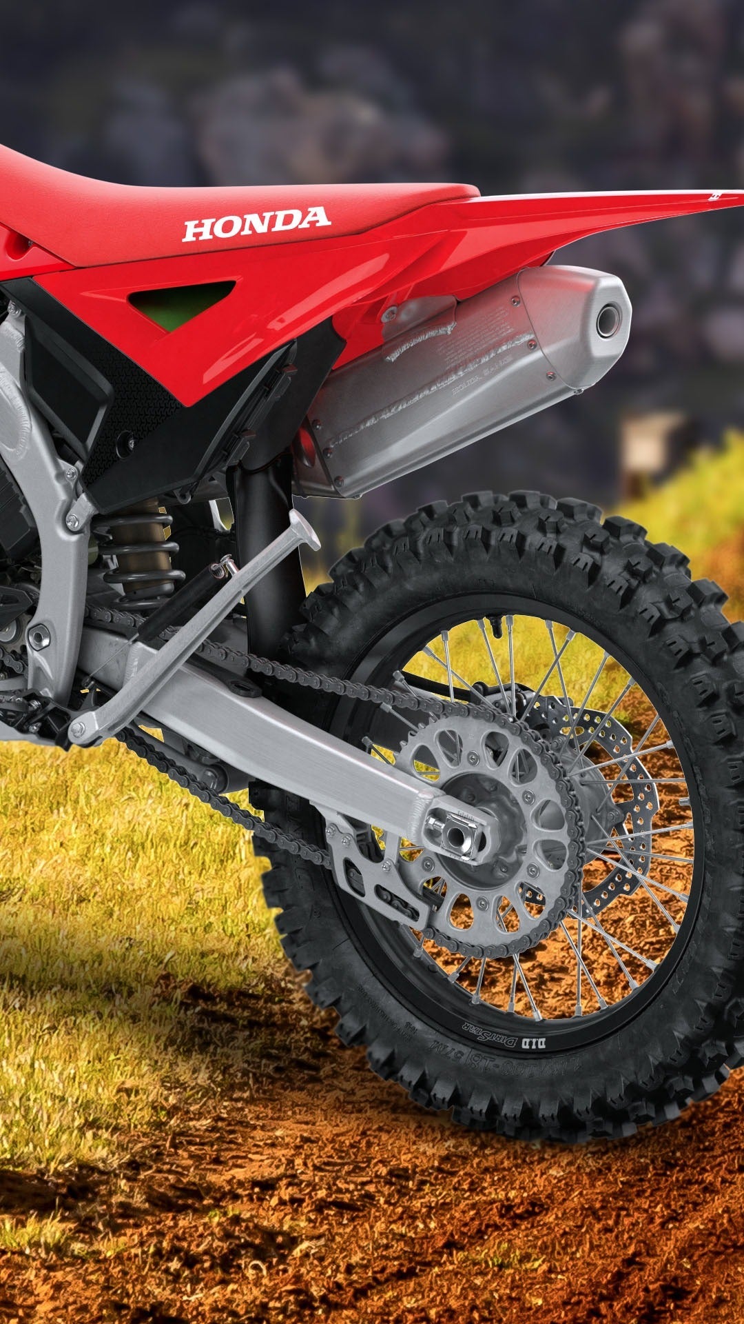 HONDA CRF 250RX (2026) - procircuitcl
