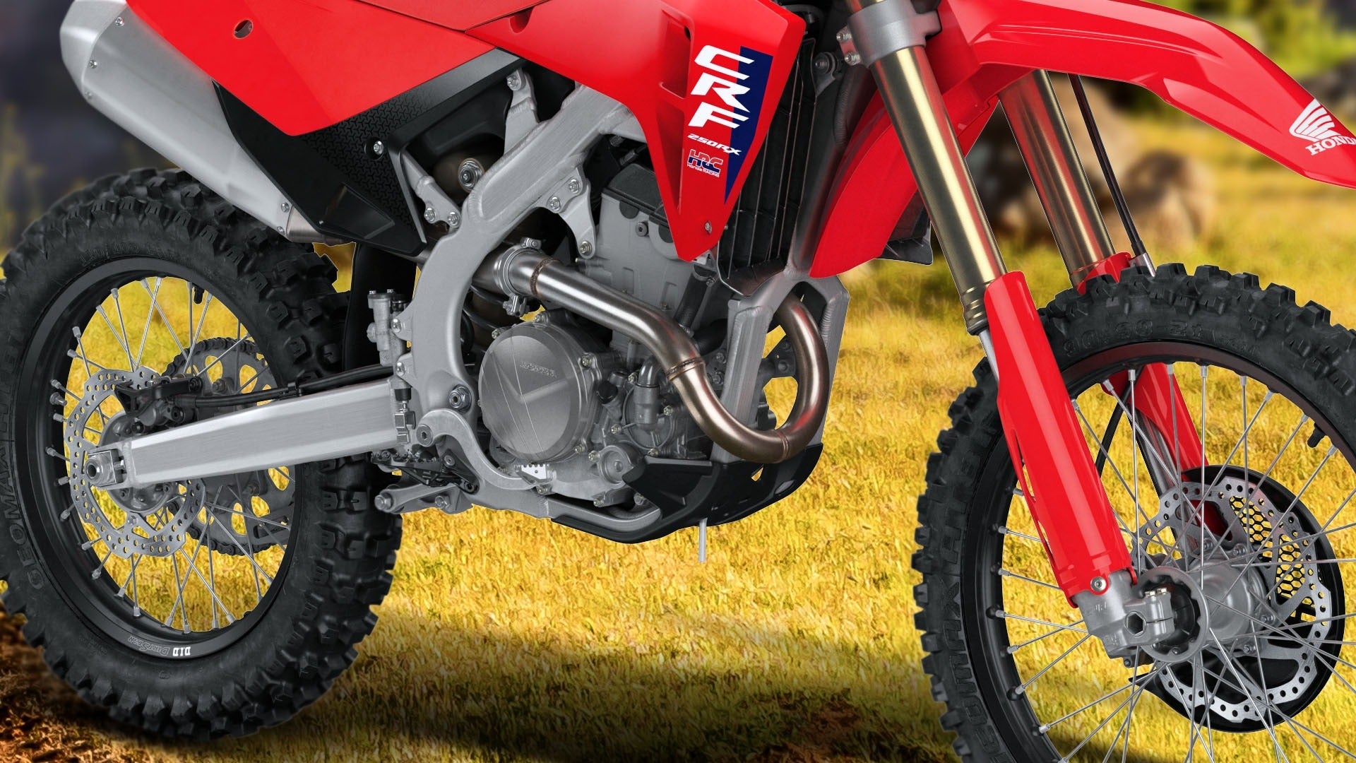 HONDA CRF 250RX (2026) - procircuitcl