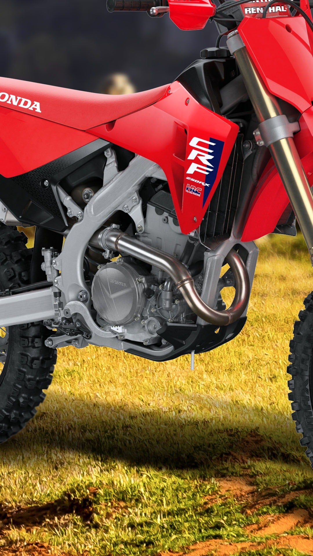 HONDA CRF 250RX (2026) - procircuitcl