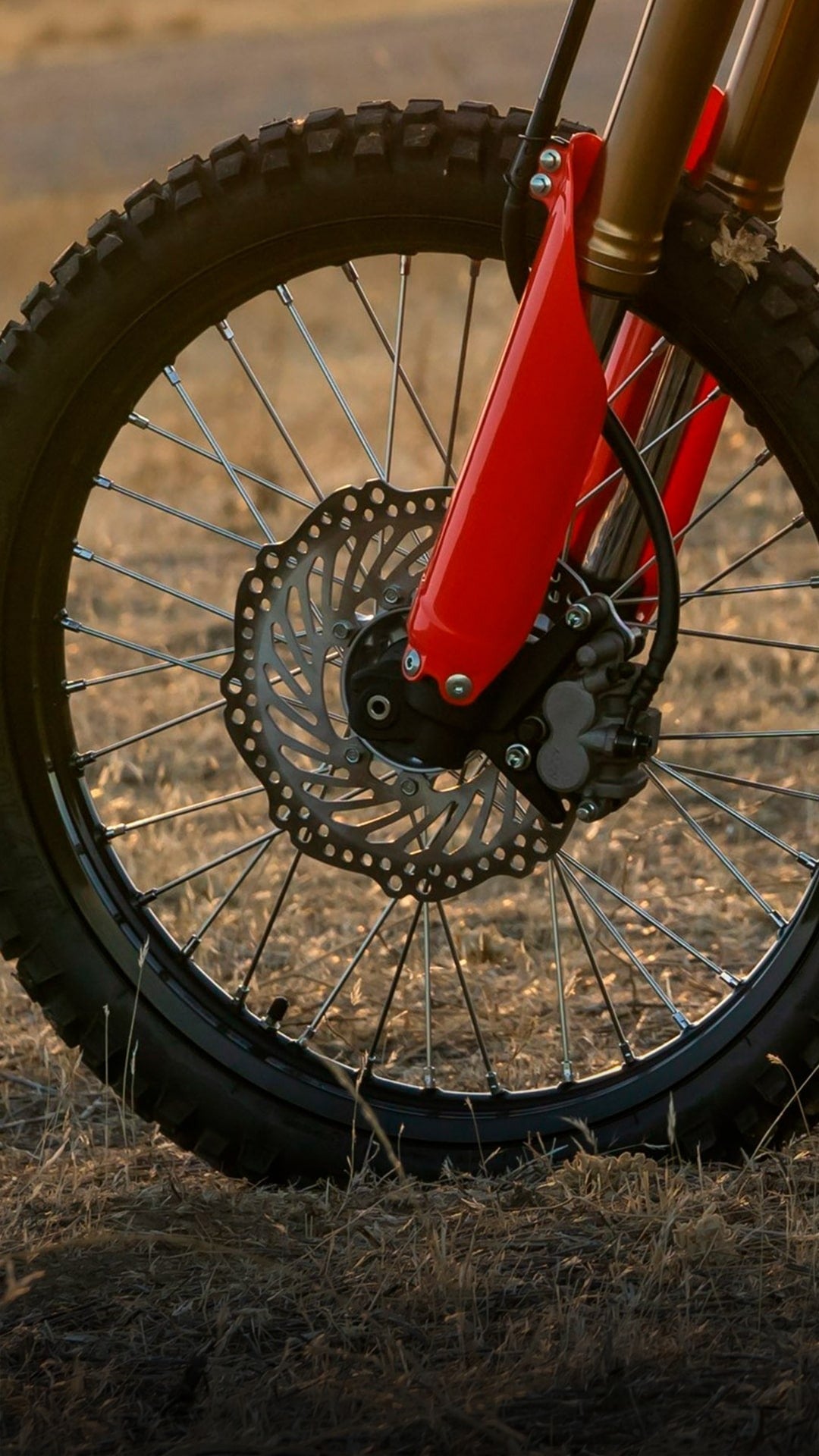 HONDA CRF 300 L - procircuitcl