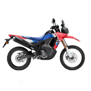 HONDA CRF 300 Rally - procircuitcl