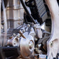 HONDA CRF 450RX (2026) - procircuitcl