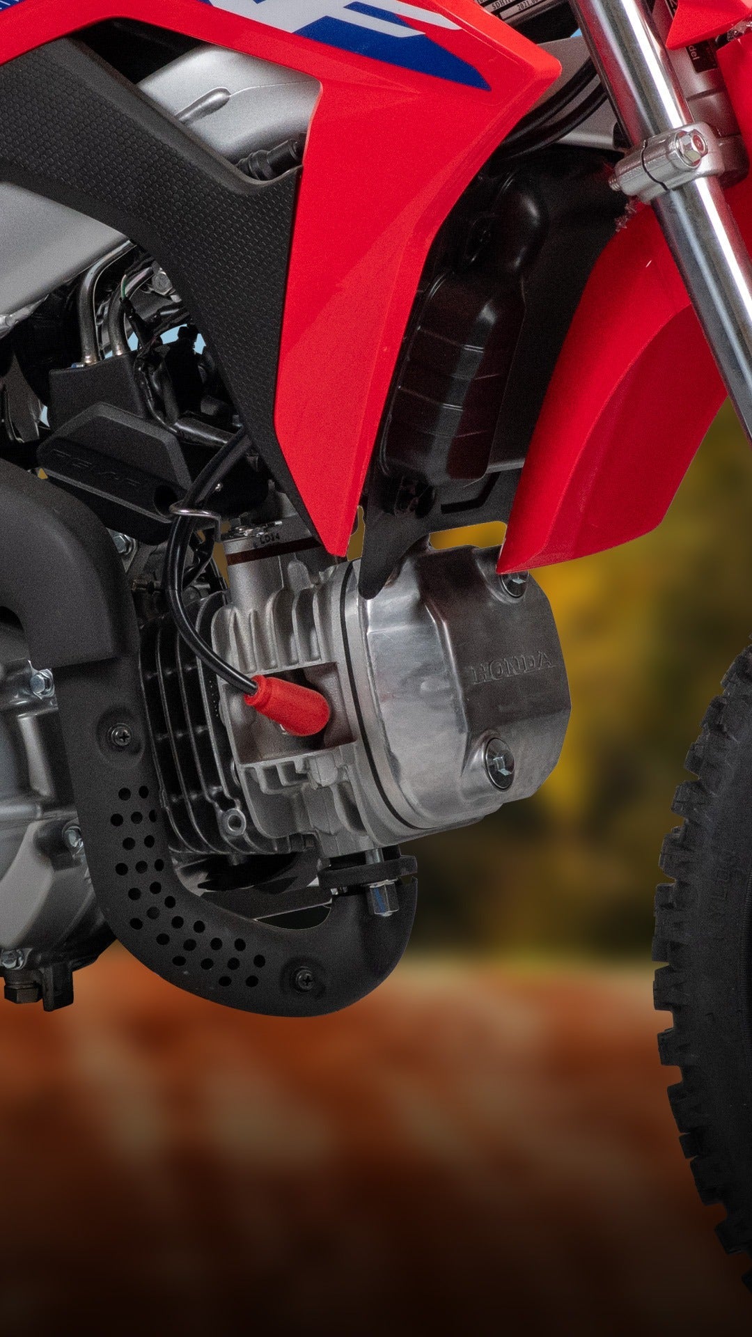 HONDA CRF110FE - procircuitcl