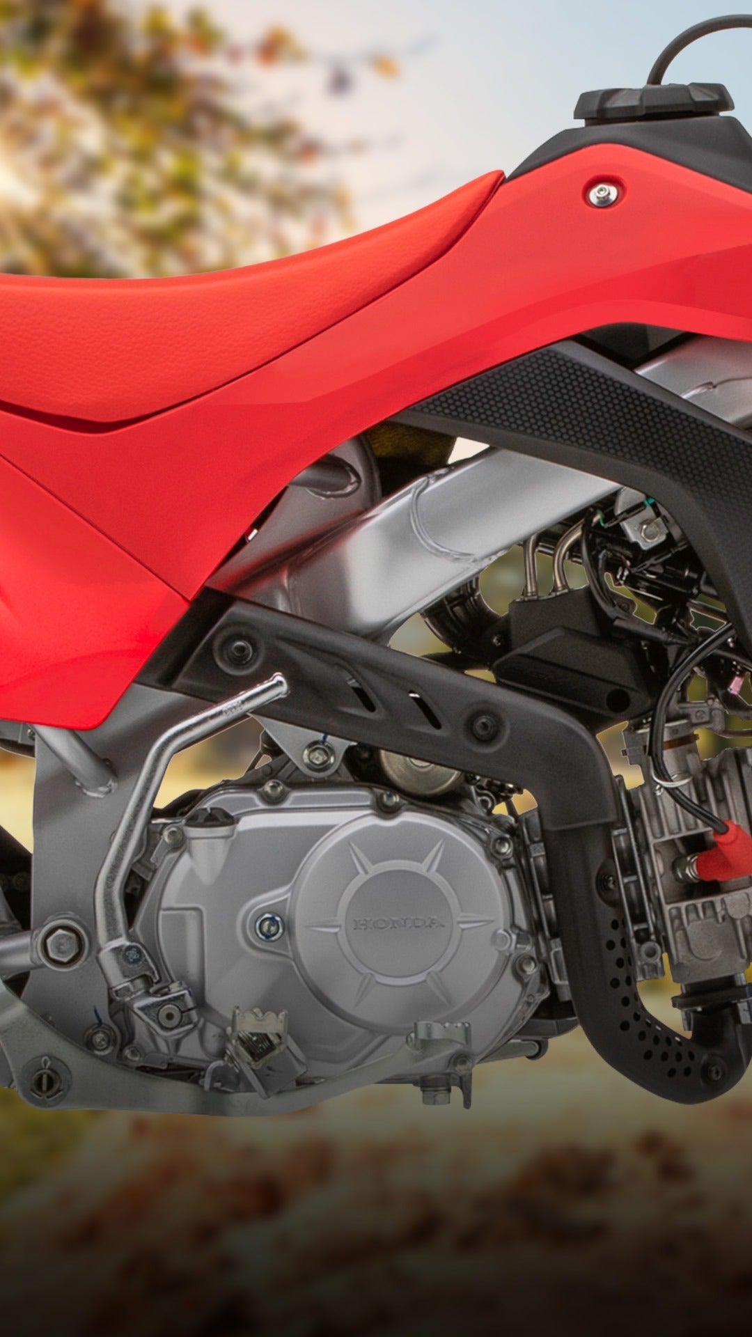 HONDA CRF110FE - procircuitcl