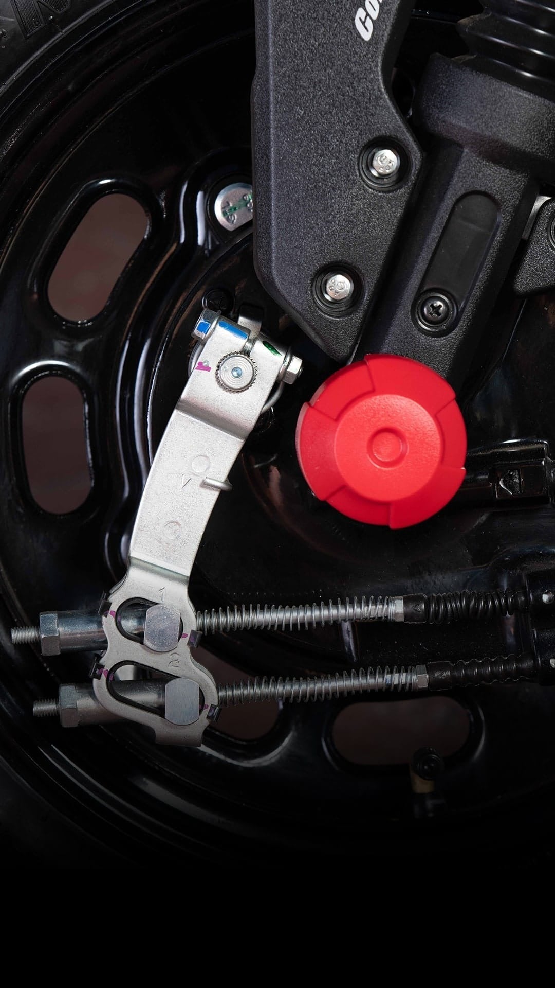 HONDA NAVI - procircuitcl