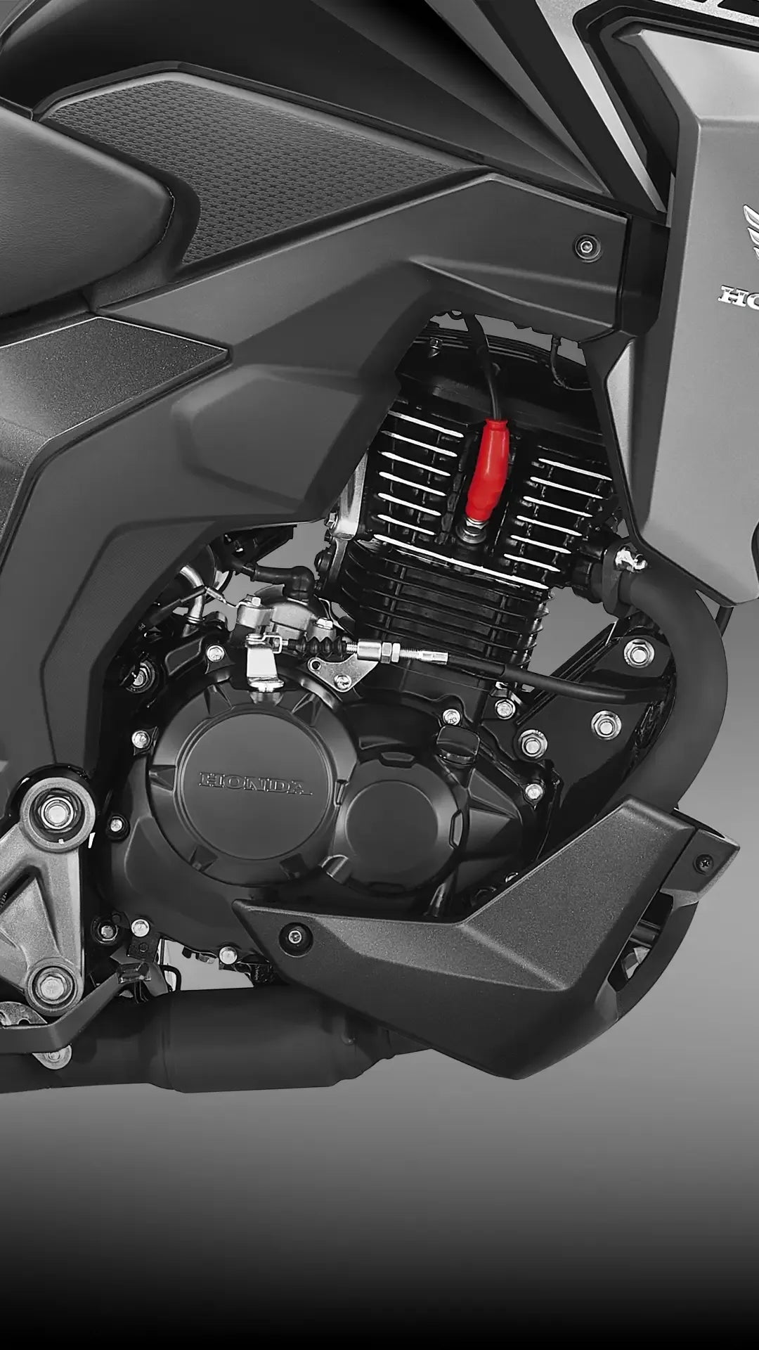 Honda New NX 190 - procircuitcl