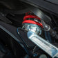 HONDA SP 160 - procircuitcl
