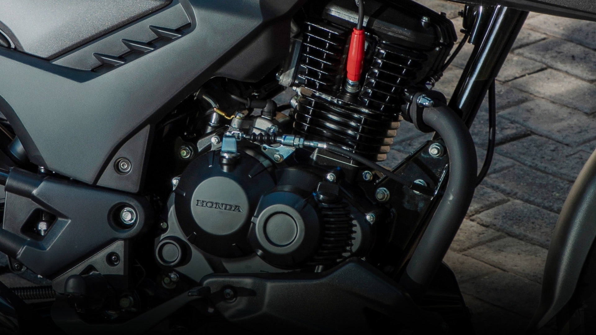 HONDA SP 160 - procircuitcl