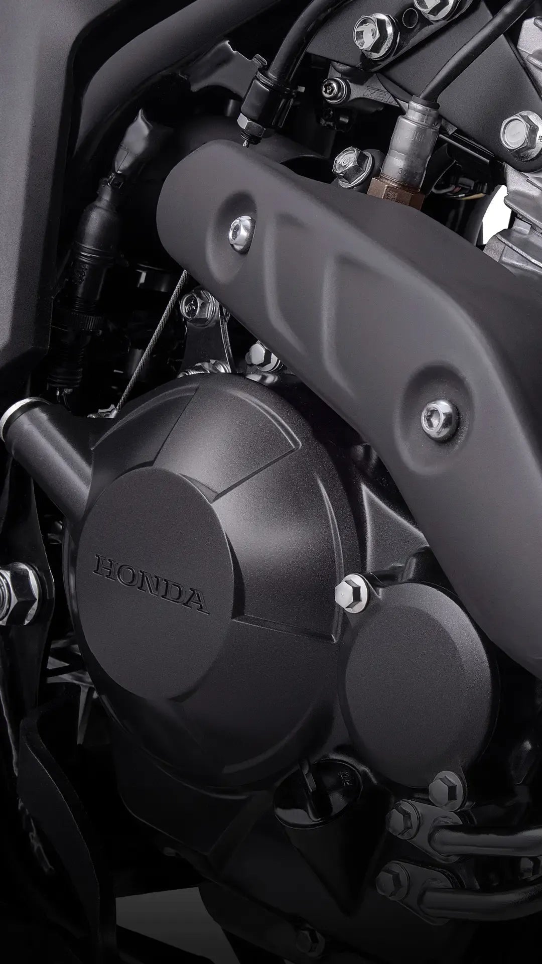 Honda XR300L (Tornado) - procircuitcl