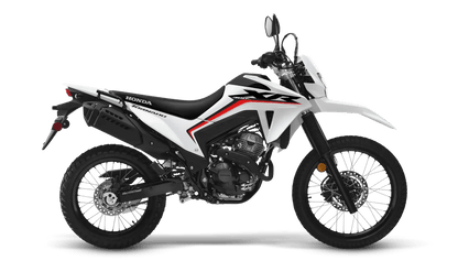 Honda XR300L (Tornado) - procircuitcl