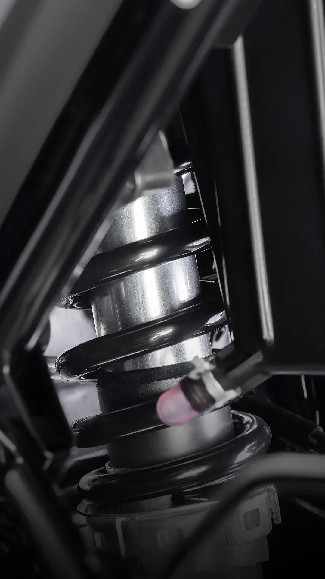 Honda XR300L (Tornado) - procircuitcl