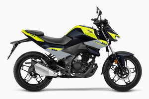 Naked Honda CB 125 Hornet - procircuit