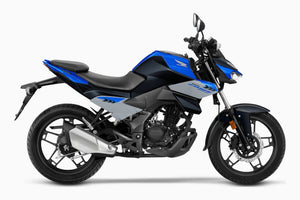 Naked Honda CB 125 Hornet - procircuit