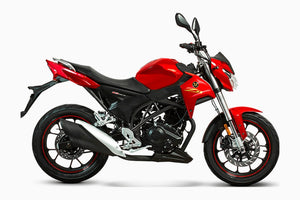 Naked Zonsen ZII - procircuit