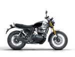 Royal Enfield Bear 650 - procircuitcl