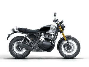 Royal Enfield Bear 650 - procircuitcl
