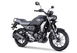Yamaha FZ - X - procircuitcl